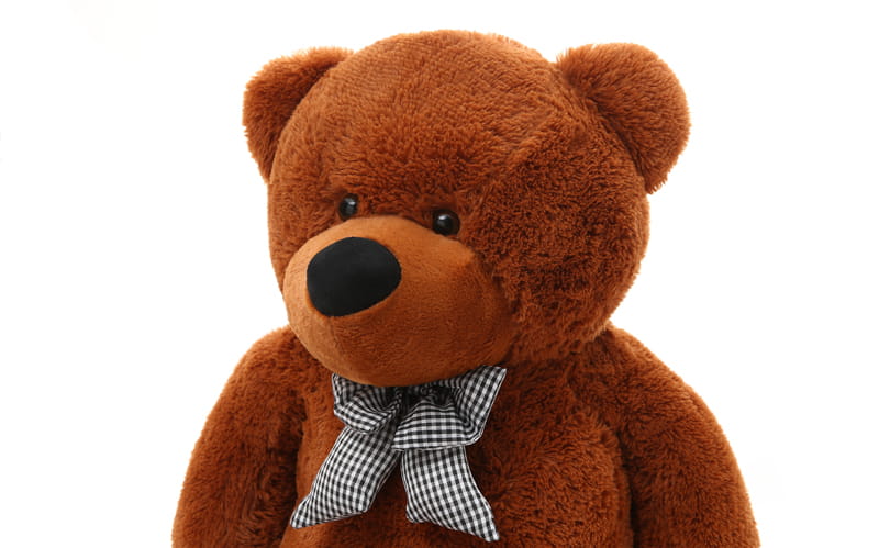 Ours en peluche géant