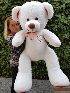 Reuze Teddybeer